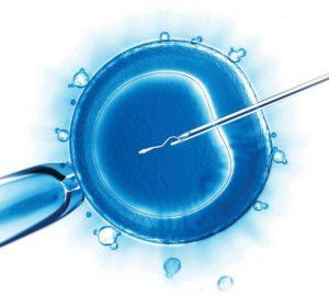 картинка - Ввод сперматозоида в яйцеклетку. ICSI (Intra Cytoplasmic Sperm Injection) При искусственном оплодотворении. ЭКО в Украине Клиника Грищенко.